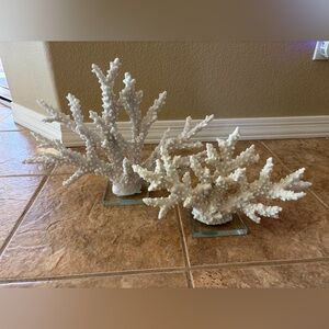White Coral Decorative Accent with Clear Acrylic Base, Set of 2, LIKE NEW